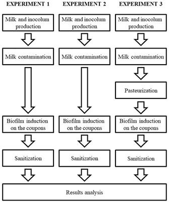 Efficiency of Different Disinfectants on Bacillus cereus Sensu Stricto Biofilms on Stainless-Steel Surfaces in Contact With Milk